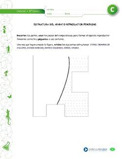 Imagen portada