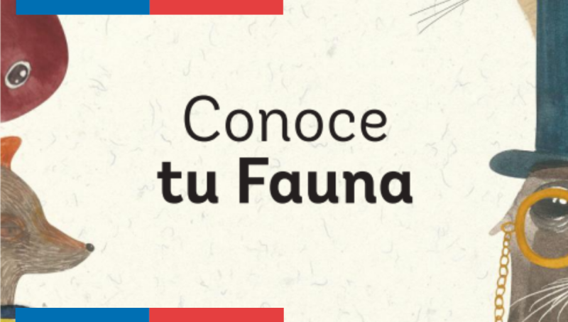 Formato miniatura web I UCE (15).png