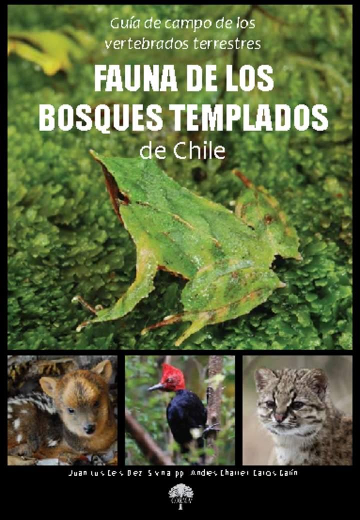 Imagen portada
