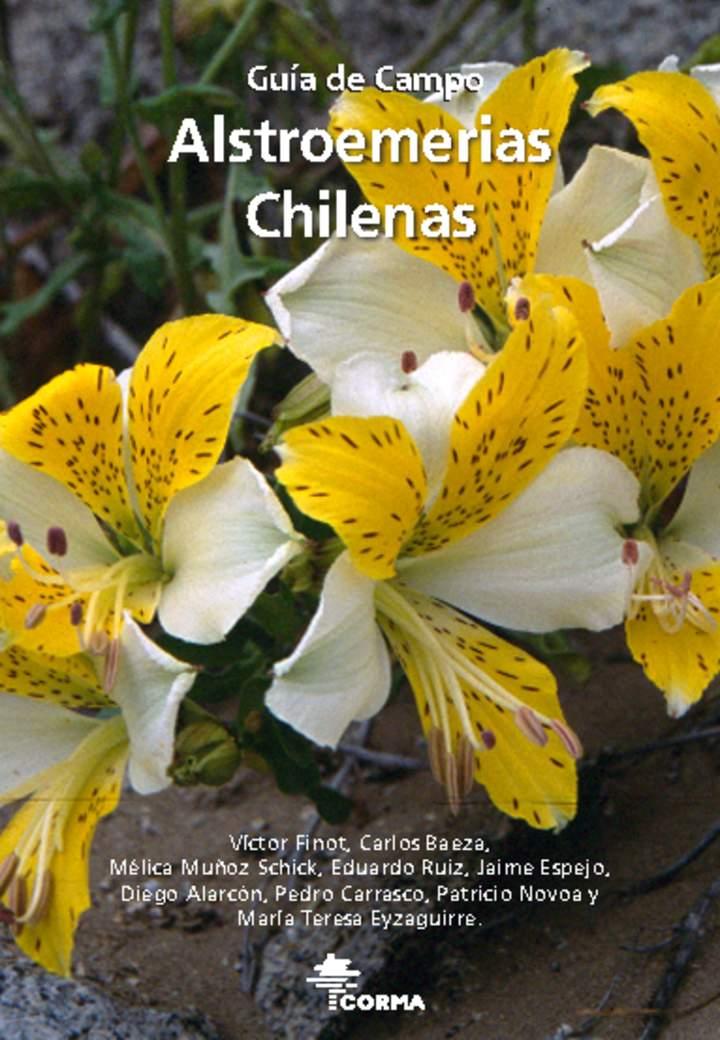 Imagen portada