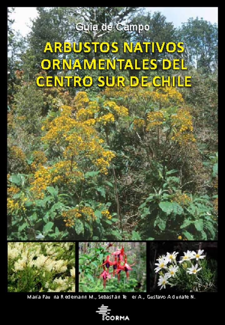 Imagen portada