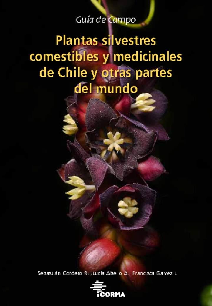 Imagen portada