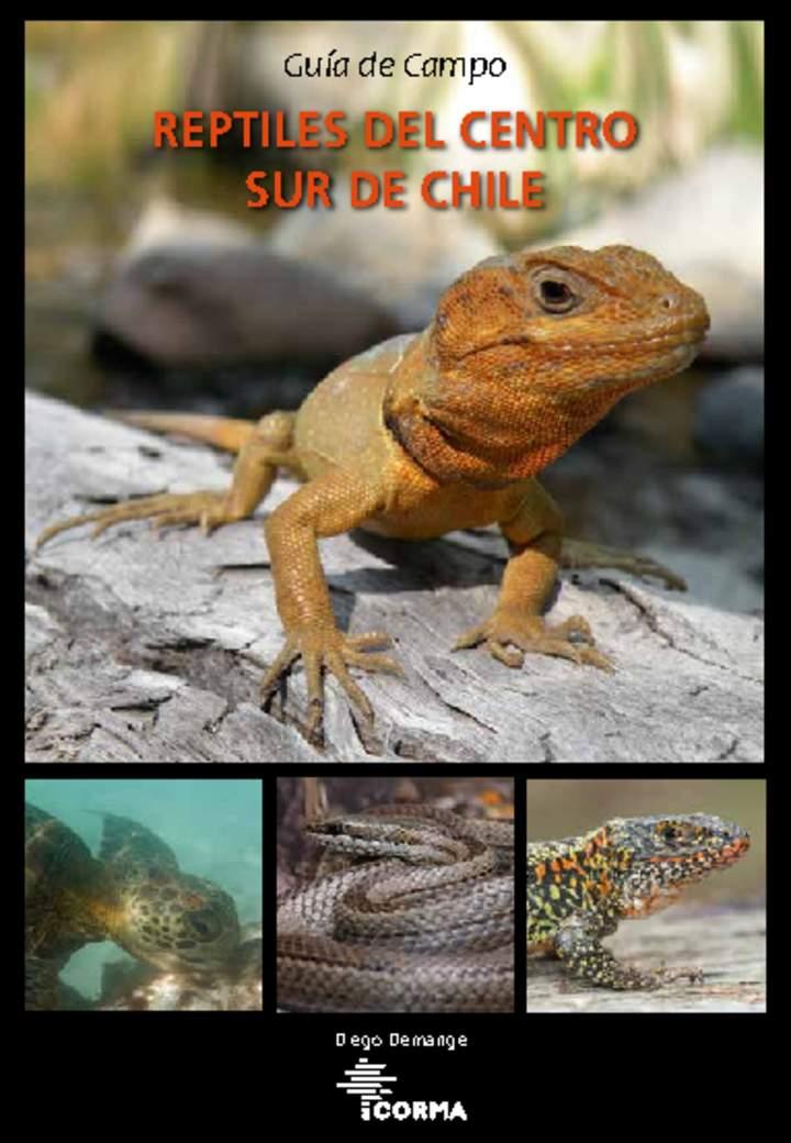 Imagen portada