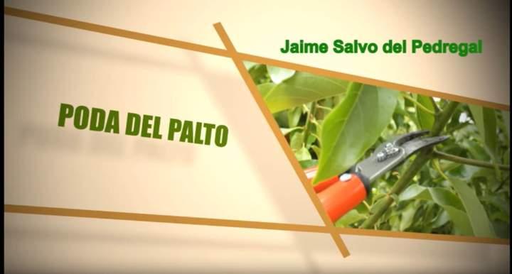 Imagen portada