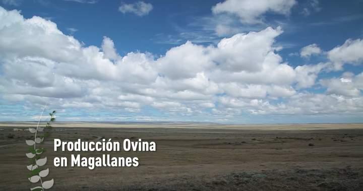 Imagen portada