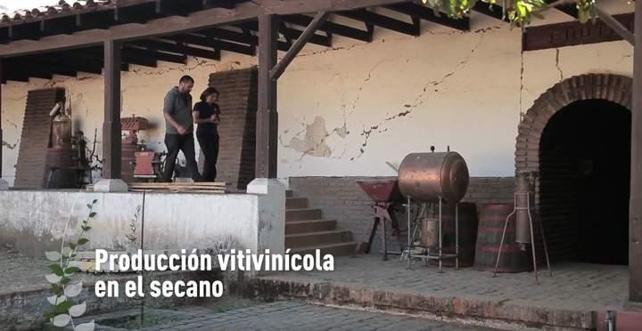 Imagen portada