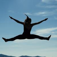 Logo Vida activa y emocional